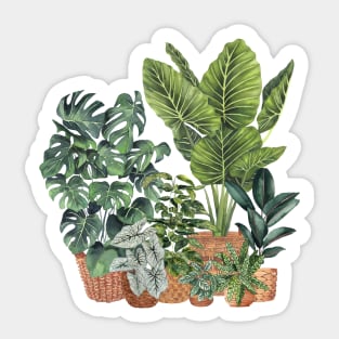 House Plants 11 Sticker